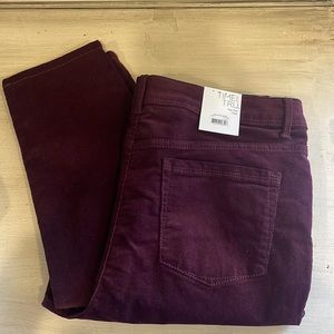 Time and Tru High-rise Sculpting Jeggings NEW sz 14